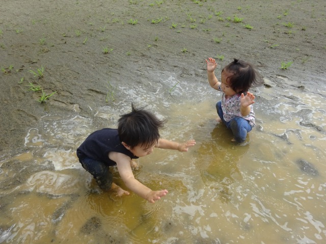 もも2