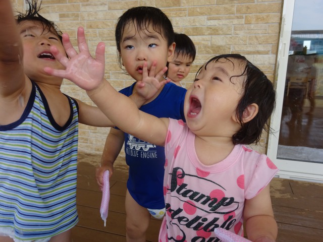 6月 ブログ用写真0 たんぽぽ