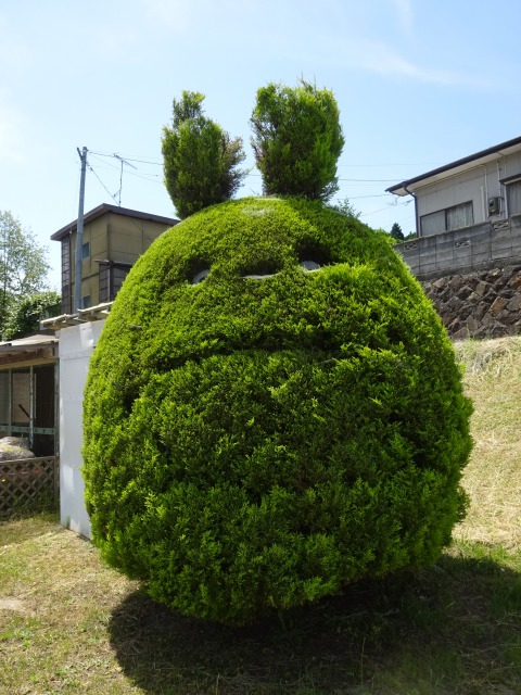 DSC09800